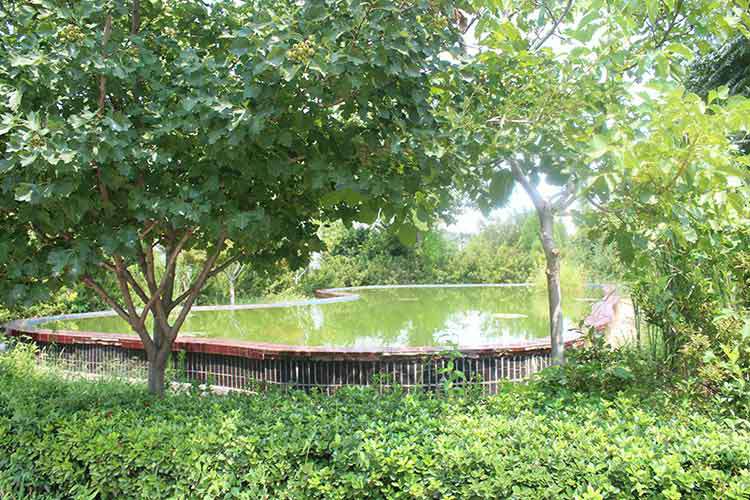 米兰站·网站-米兰MiLan(中国)机械厂区环境优美